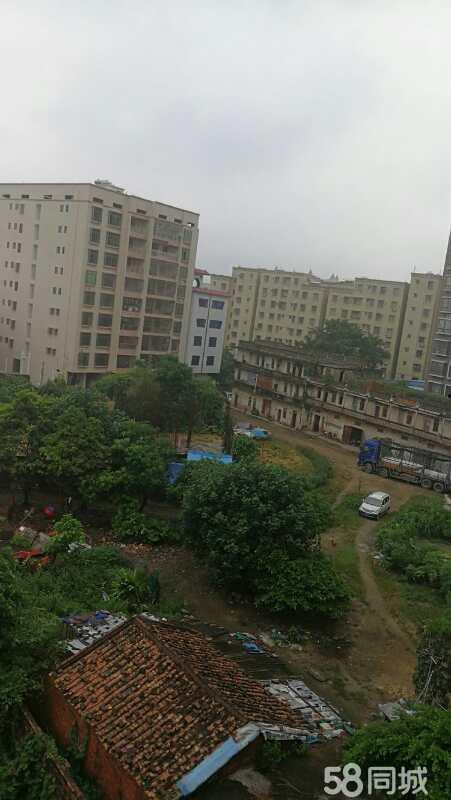 化州广伦花园最新爆料,揭秘神秘爆料背后的精彩细节  第1张