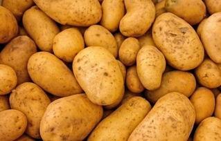 户外土豆爆料怎么做视频,视频制作攻略全解析 第2张 户外土豆爆料怎么做视频,视频制作攻略全解析 第2张